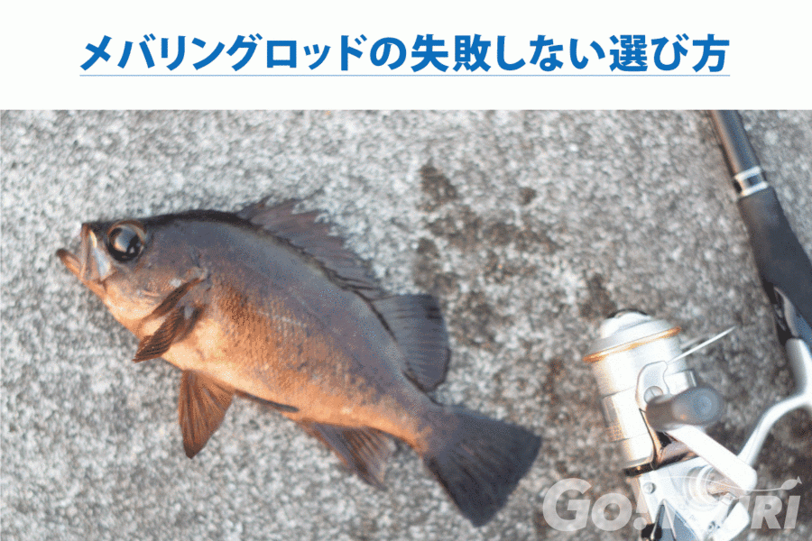 メバリングロッドの失敗しない選び方とおすすめ2選 釣り Go Tsuri ゴー釣り 釣りに行きたくなるwebマガジン