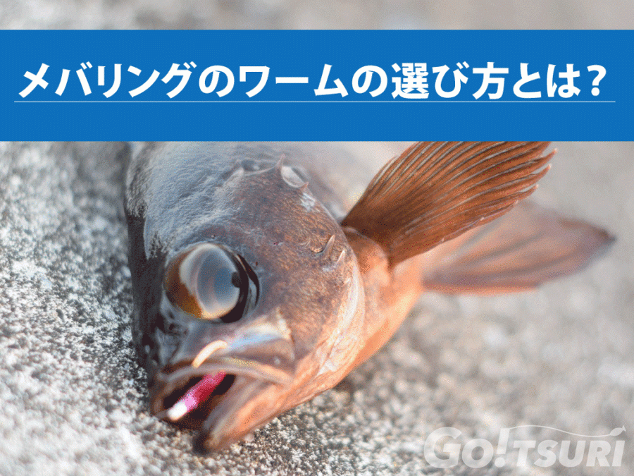 メバリングのワームの選び方とは おすすめの素材やカラーについて 釣り Go Tsuri ゴー釣り 釣りに行きたくなるwebマガジン