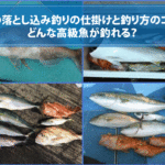 船の落とし込み釣りの仕掛けと釣り方のコツ どんな高級魚が釣れる 釣り Go Tsuri ゴー釣り 釣りに行きたくなるwebマガジン