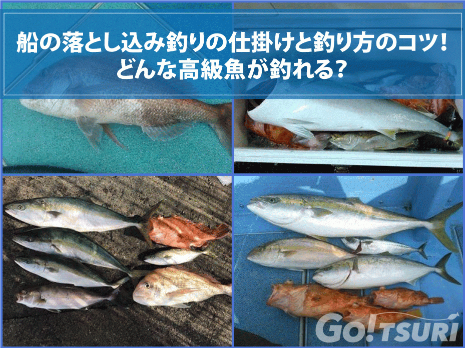 船の落とし込み釣りの仕掛けと釣り方のコツ どんな高級魚が釣れる 釣り Go Tsuri ゴー釣り 釣りに行きたくなるwebマガジン